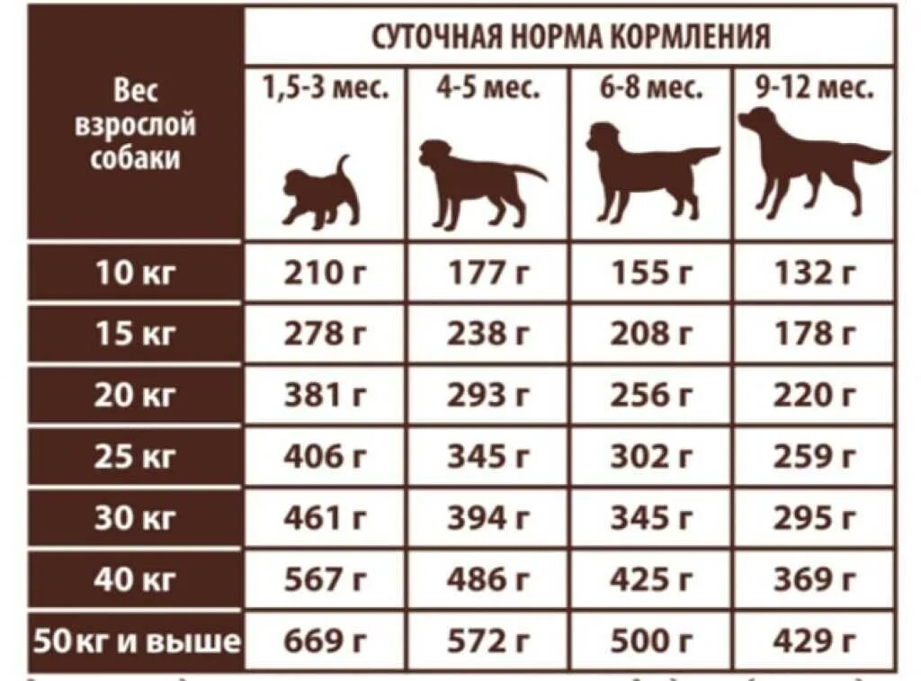 Сколько корма нужно давать собаке. Норма кормления собак натуральными продуктами таблица. Норма кормления лабрадора в 4 месяца. Норма корма для щенка лабрадора 2 месяца. Вес и норма питания щенка лабрадора.