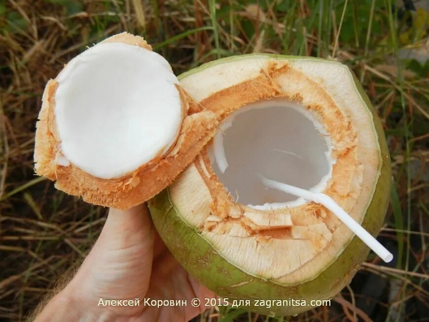 Картинки КАК СЛОМАТЬ КОКОС