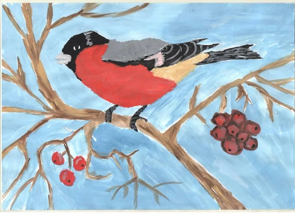 как выглядят снегири смотреть рисунок. снегирь название рисунка. снегирь название рисунка. нарисовать птицу снегирь. кормушка для снегирей.