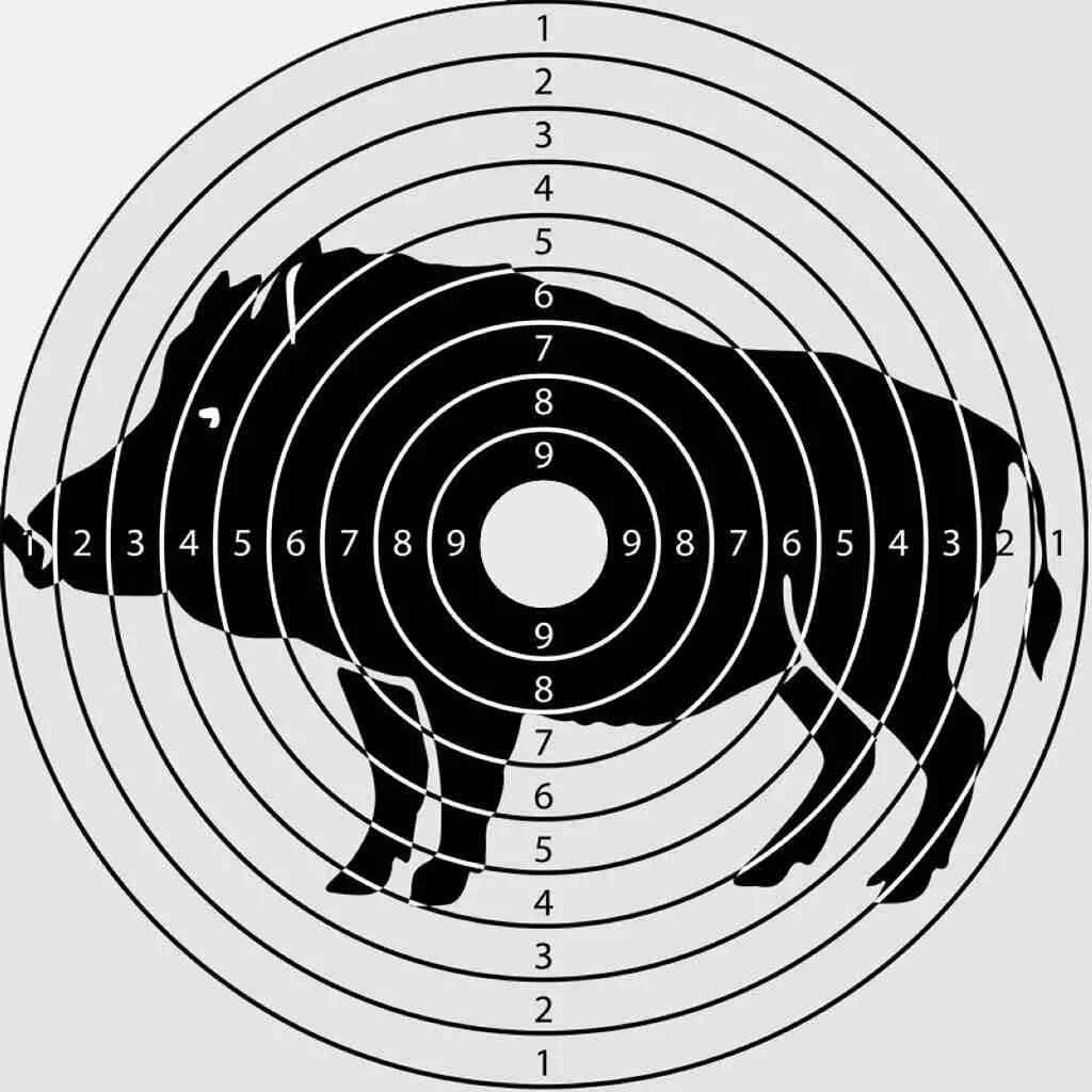 Мишень арбалетная а4. Мишень пристрелки пневматики 5 метров а4. Маленькие мишени для стрельбы из воздушки. Мишень для стрельбы а4. Мишень со стрелой.