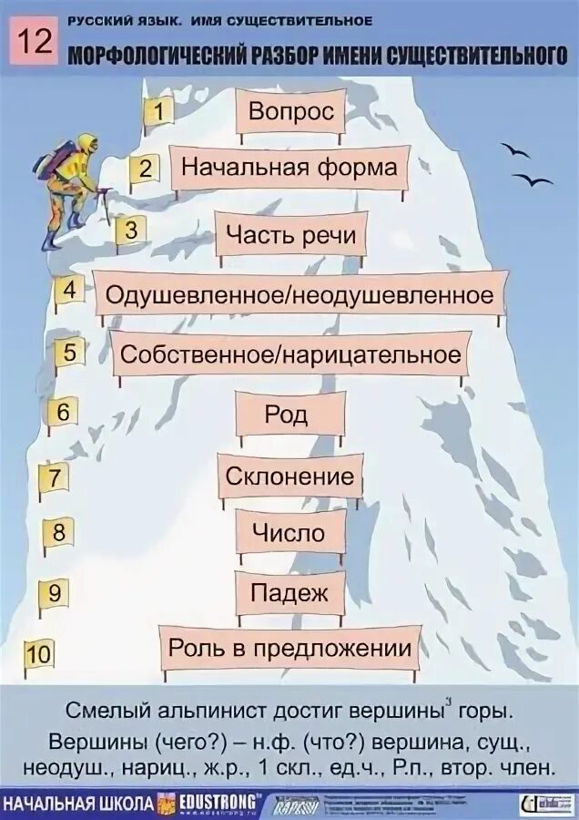 Разбор собственного существительного. Разбор имени существительного 3 класс памятка. Разбо имени существительного. Морфологический разбор существител. Морфологический разбор существите.