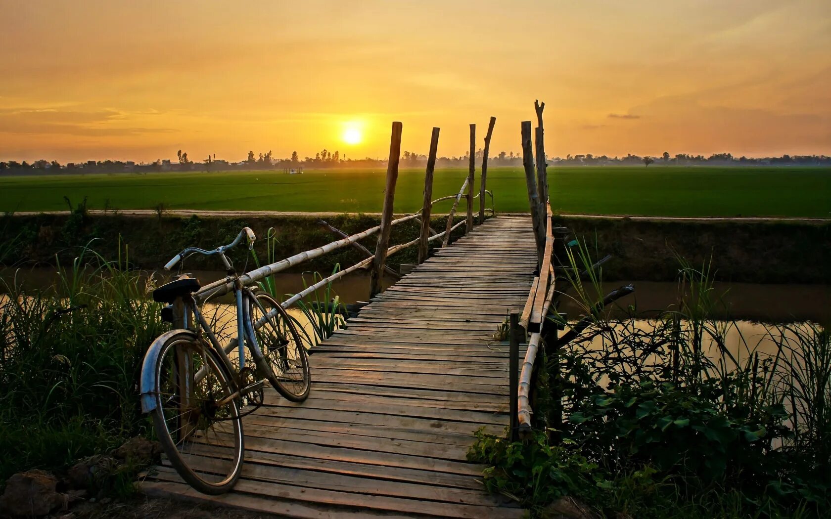 Bicycles are the most