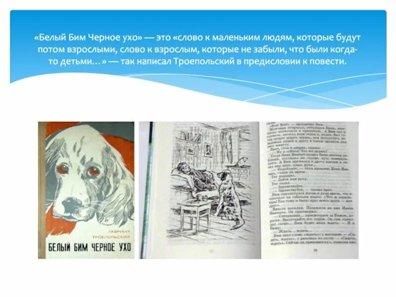 Книга троепольского белый бим черное ухо. Белый бим черное ухо троепольский читательский дневник. Основная мысль рассказа белый бим черное ухо. Краткий пересказ белый бим черное ухо г троепольский. Белый бим чёрное ухо книга для детей.