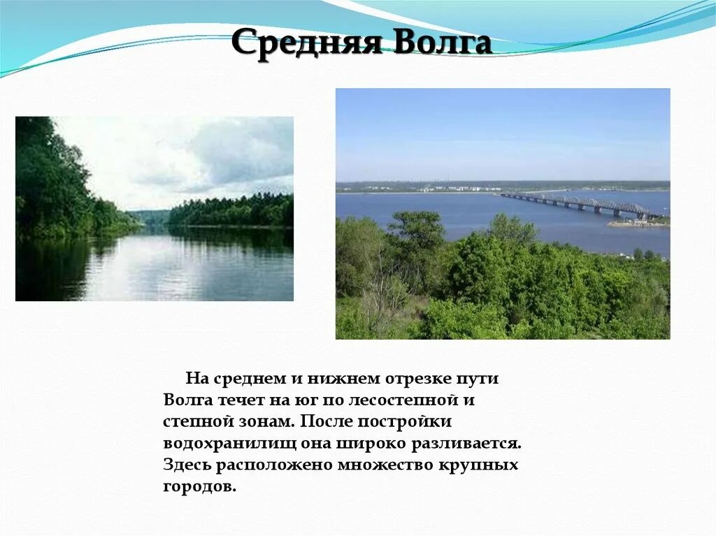 Река волга какая природная зона. Маленький рассказ о реке Волге. Волга презентация. Доклад про Волгу. Проект река Волга.