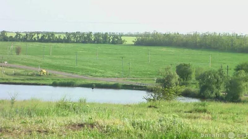 Поселок Гражданский Краснодарский край Выселковский. Поселок Бейсуг Краснодарский край. Достопримечательности Выселки Краснодарский край. Поселок Заречный Краснодарский край Выселковский район. Поселок заречный выселковского района краснодарского края