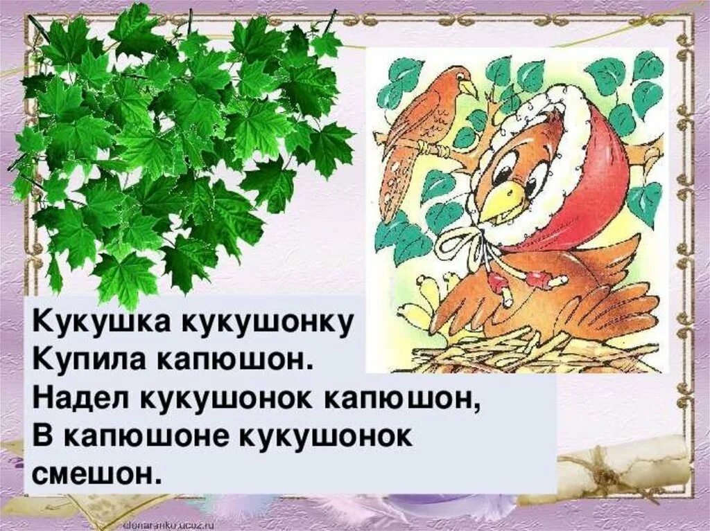 Кукушонку купила капюшон. Кукушонок в капюшончике. Скороговорки Кукушка кукушонку. Кукушка кукушонку купила.