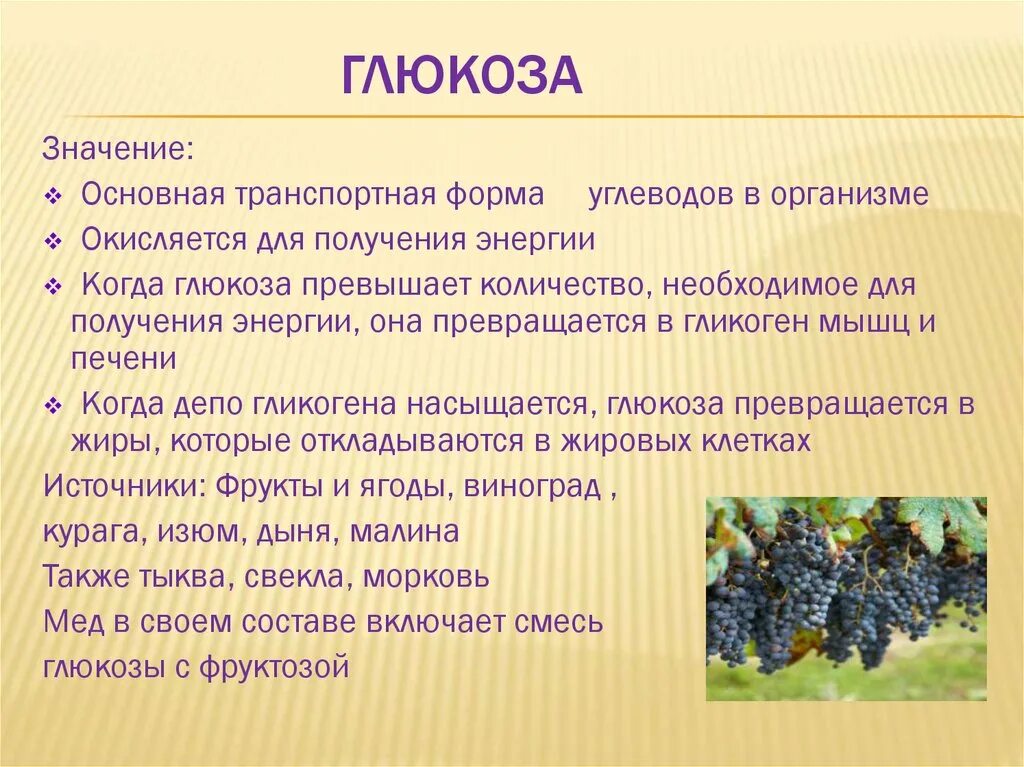 Каково значение агросообществ в жизни человека кратко. Значение Глюкозы. Значение Глюкозы в организме человека. Важность Глюкозы в организме. Глюкоза значение в природе.