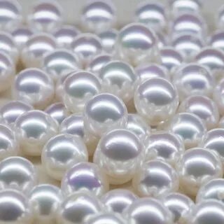 Sea pearl 4