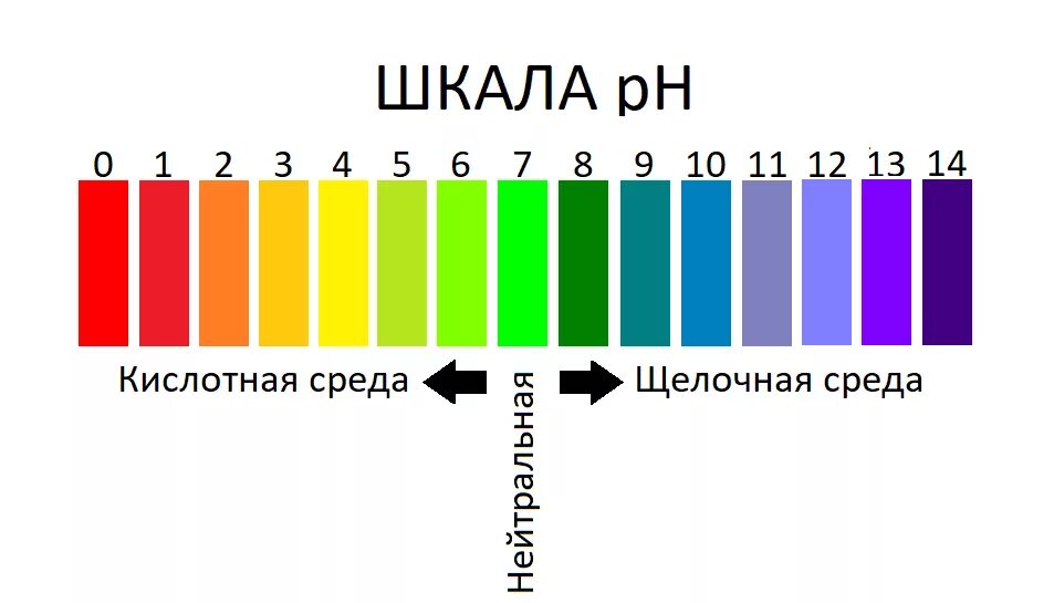 Цвета рн среды
