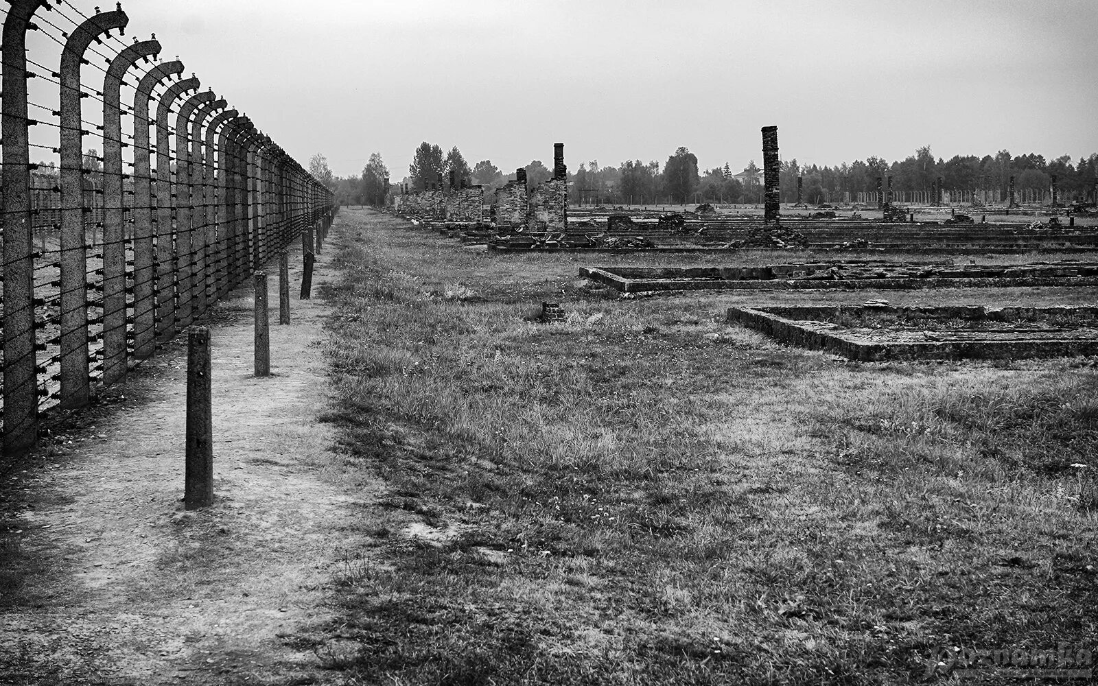 Concentration camp. Аушвиц 2 Биркенау. Концлагерь Аушвиц-Биркенау. Концентрационные лагеря Германии. Лагеря Освенцим Аушвиц-Биркенау.