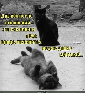 После отношений друзьями