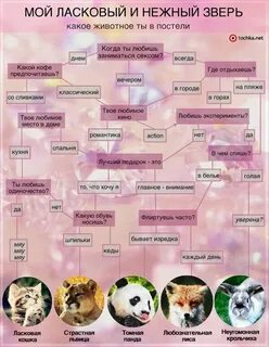 Какое ты животное quiz