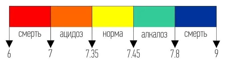 Кислотность мочи у мужчин. Норма PH мочи у человека. Моча кислая, щелочная, РН. Шкала кислотности PH мочи. PH слюны в норме.