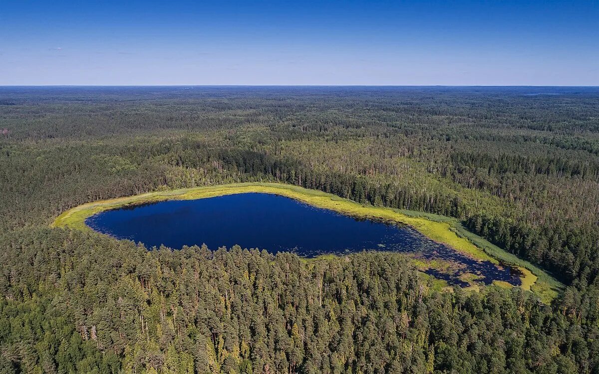 Парки новгородской области. Валдайский нац парк. Валдайского национального парка. Валдайский заповедник Новгородской области. Заповедник Валдайский национальный парк.