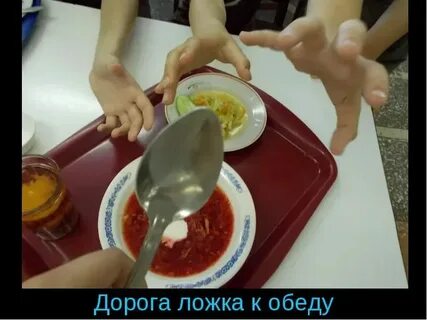 К обеду солнечный день окончательно разыгрывается