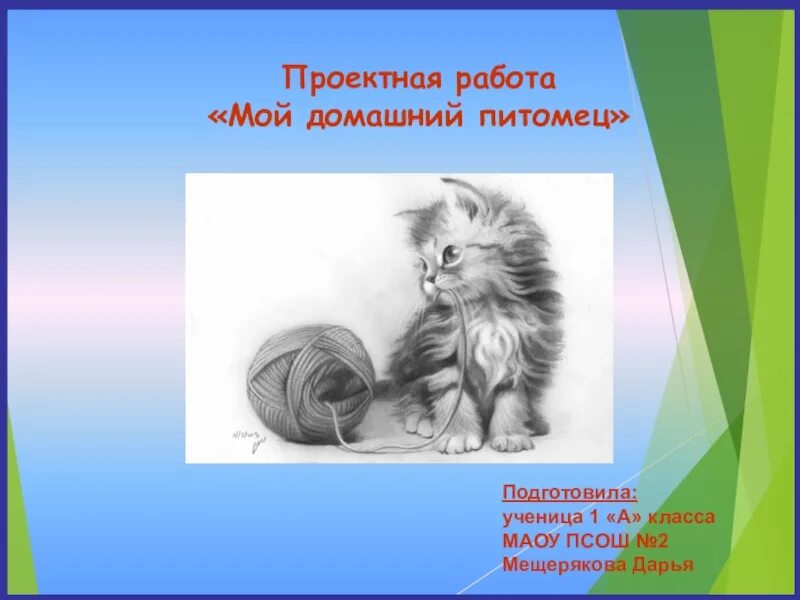 Проект мой любимый домашний питомец 2 класс Мой любимый питомец окружающий мир 1
