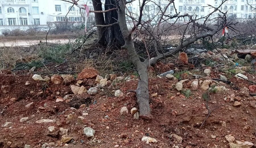 Троллейбус врезался в машину ялта. Дтп в севастополе сегодня на пожарова. Что произошло в севастополе 23. Дворы севастополя. Пожар в комнате.