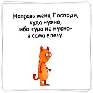 Нравится 36