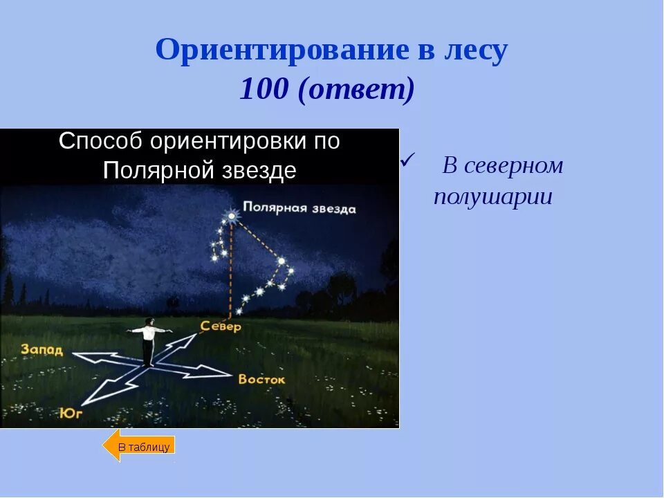 По какой звезде ориентируются. Ориентирование на местности по звездам. Ориентирование по полярной звезде. Стороны света по полярной звезде. Ориентироваться по полярной звезде.