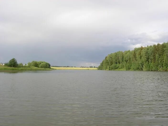 Шаховское водохранилище. Шаховская водохранилище. Шаховское водохранилище. Река хованка. Шалаховское водохранилище пляж.