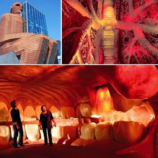 музей человеческого тела в нидерландах. музей в форме человека. музей человеческого тела в нидерландах. музей в форме человека. музей в форме человека.