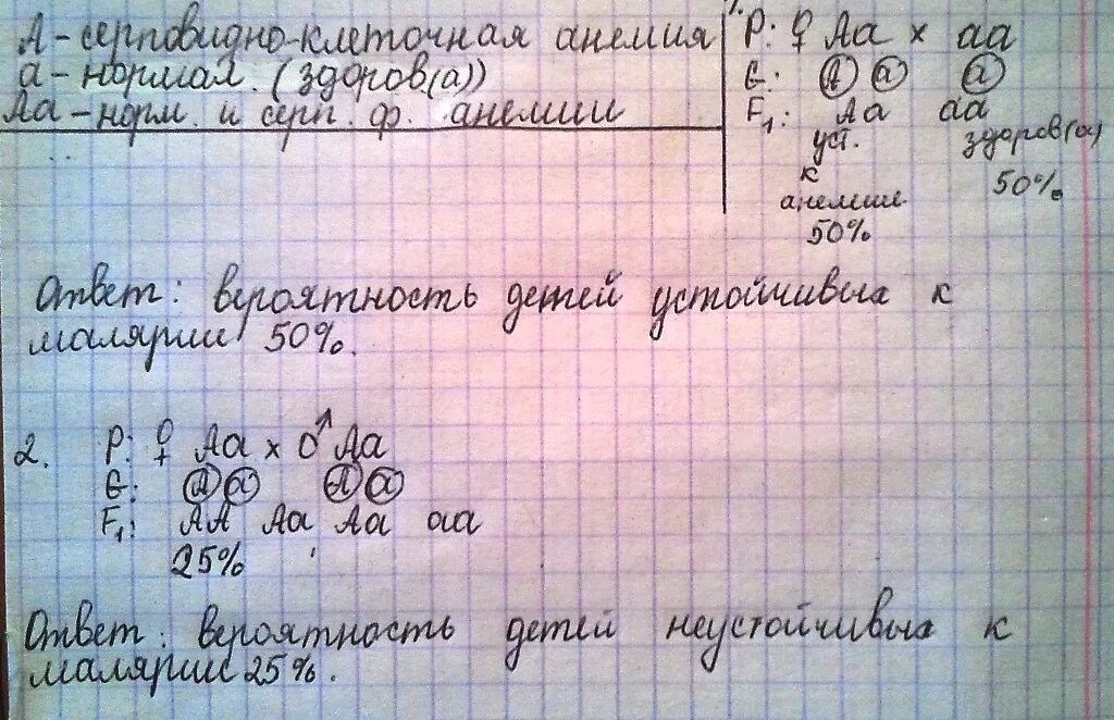 Анемия наследуется. Серповидноклеточная анемия генетика задачи. генетические задачи на серповидно клеточную анемию. наследование серповидноклеточной анемии задачи. задачи на серповидно клеточную анемию с решением.