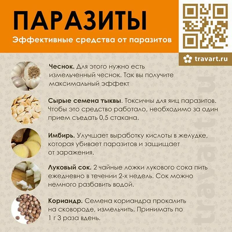 Народные средства от глистов. Народные методы от глистов. Продукты от глистов. Народные седстваот глистов. Как вывести глистов у человека в домашних