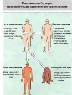 Период отторжения