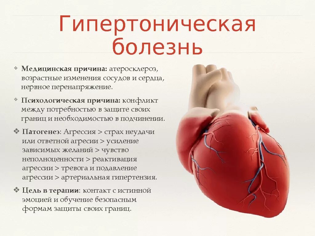 Признаки сердечной деятельности. При гипертонической болезни. Гипертоническая болезнь сердца. Гипертоническая болезнь сердца причины. Гипертрофическая болезнь.