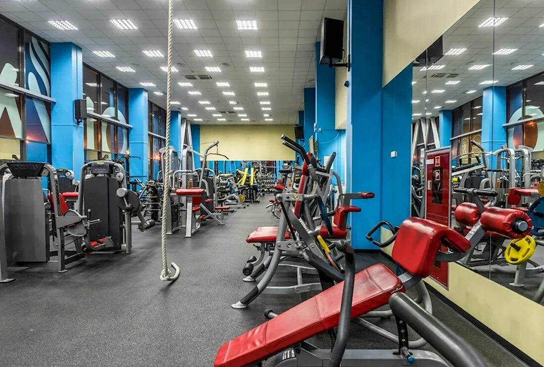 Фитнес ленд колпино тренеры. V7 fitness на комендантском. Твой фитнес комендантский. Фитнес зал колпино. Фитнес на комендантском.