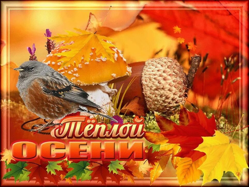 С началом прекрасного месяца. Осенние пожелания. Теплой счастливой осени. Тёплая осень. Осенние открытки.