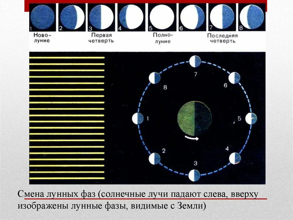 Положение луны. Схема смены фаз луны. таблица смена лунных фаз. смена лунных фаз рисунок 2.12. движение луны и затмения.