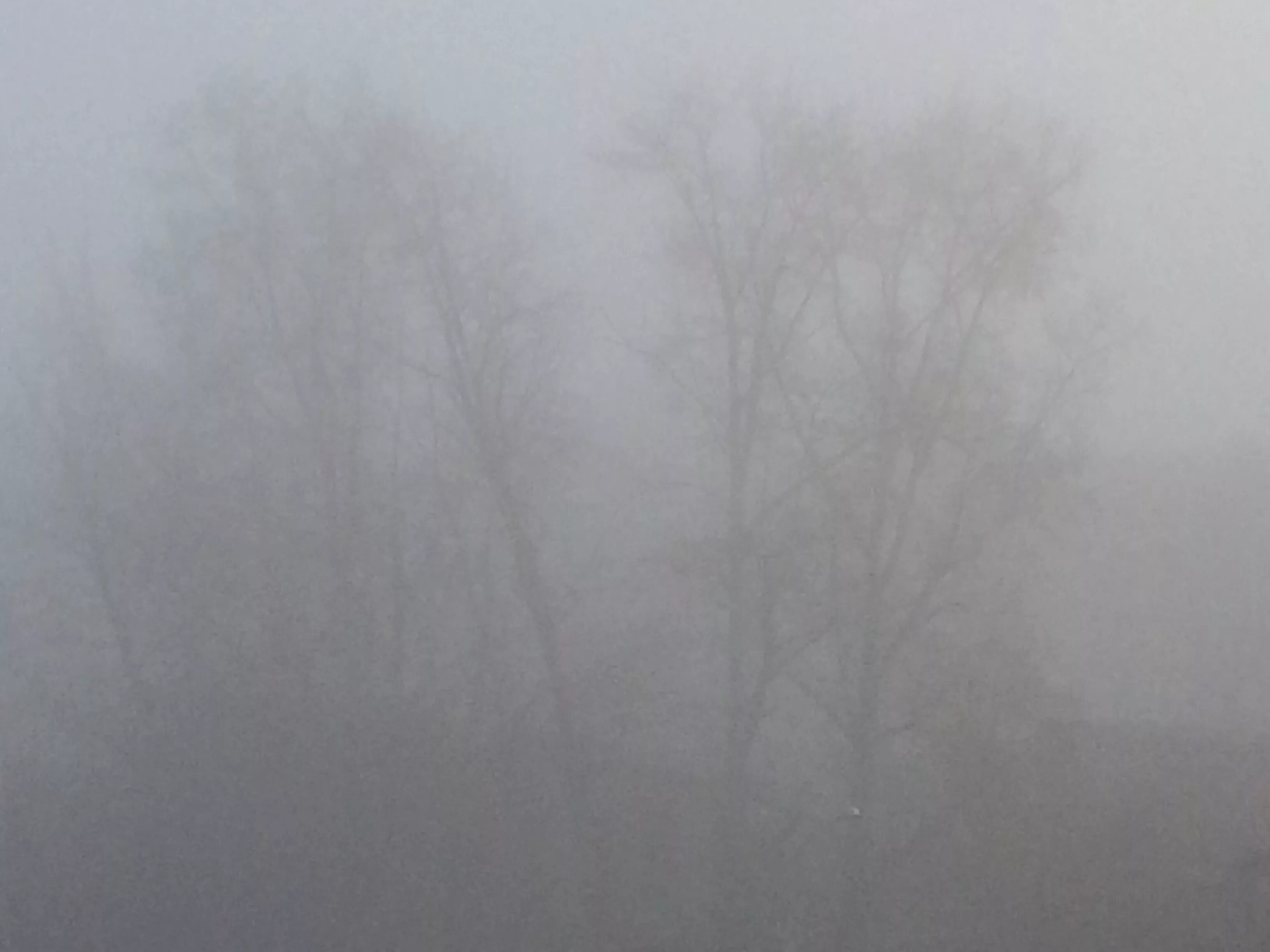 Густой туман тип предложения. Густой туман. Непроглядный туман. Очень густой туман. Текстура густого тумана.