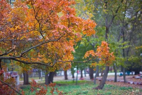 Ейск новочеркасск