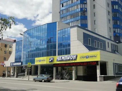 Чемпион курган