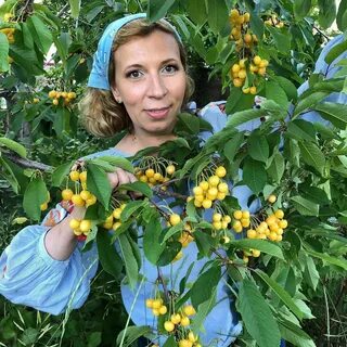Усадьба рыкалиной