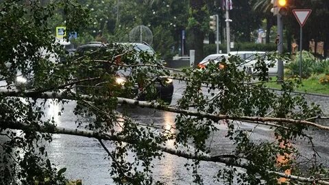 Штормовое предупреждение в сочи