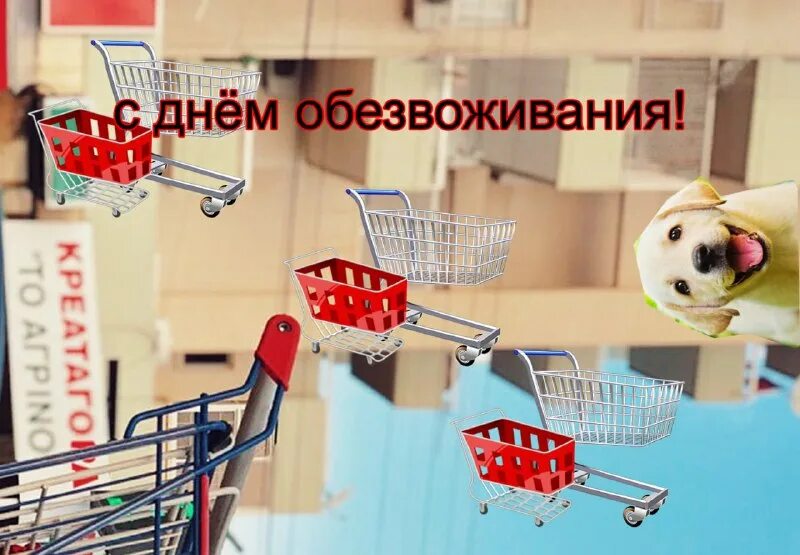 эври дэй клиник