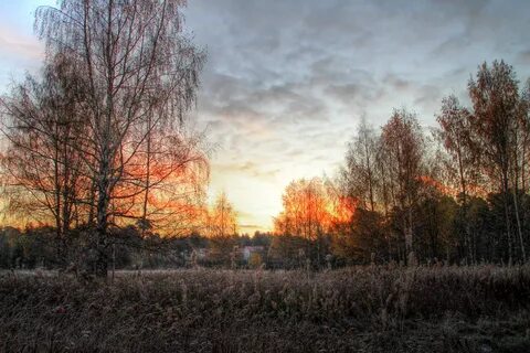Солнечная поздняя осень