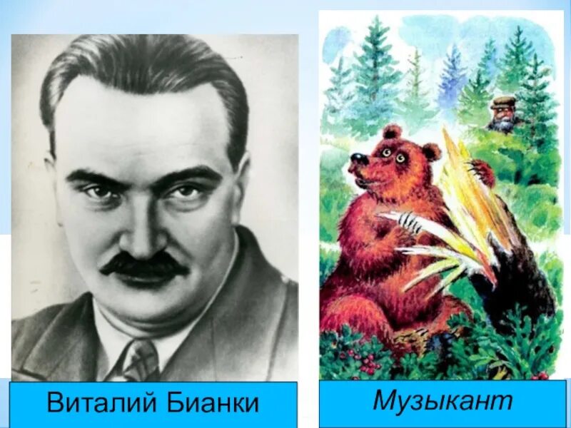 Рассказ музыкант текст. Виталий валентинович бианки музыкант. иллюстрации к рассказу бианки музыкант. произведение бианки музыкант. писатель виталий бианки музыкант.