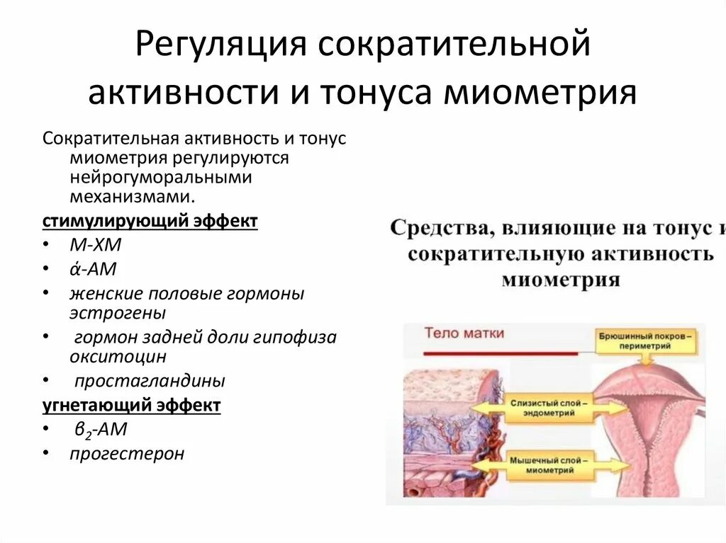 Сократительную активность миометрия