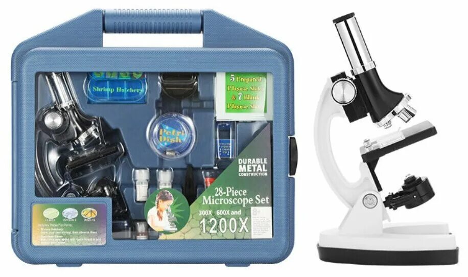 микроскоп 1000 крат клетка и ядро. увеличение 1200х микроскоп. увеличение 1200х микроскоп. увеличение 1200. увеличение 1200х микроскоп.