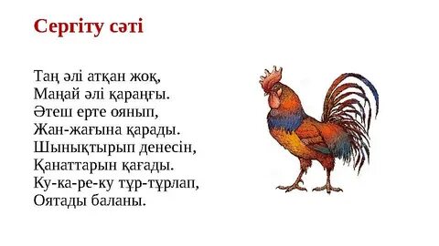 Үйдегі әтеш