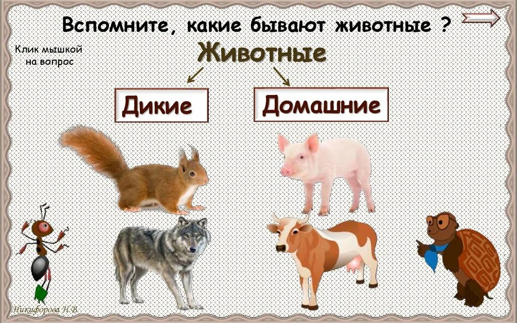 Объясни каких животных называют дикими а каких