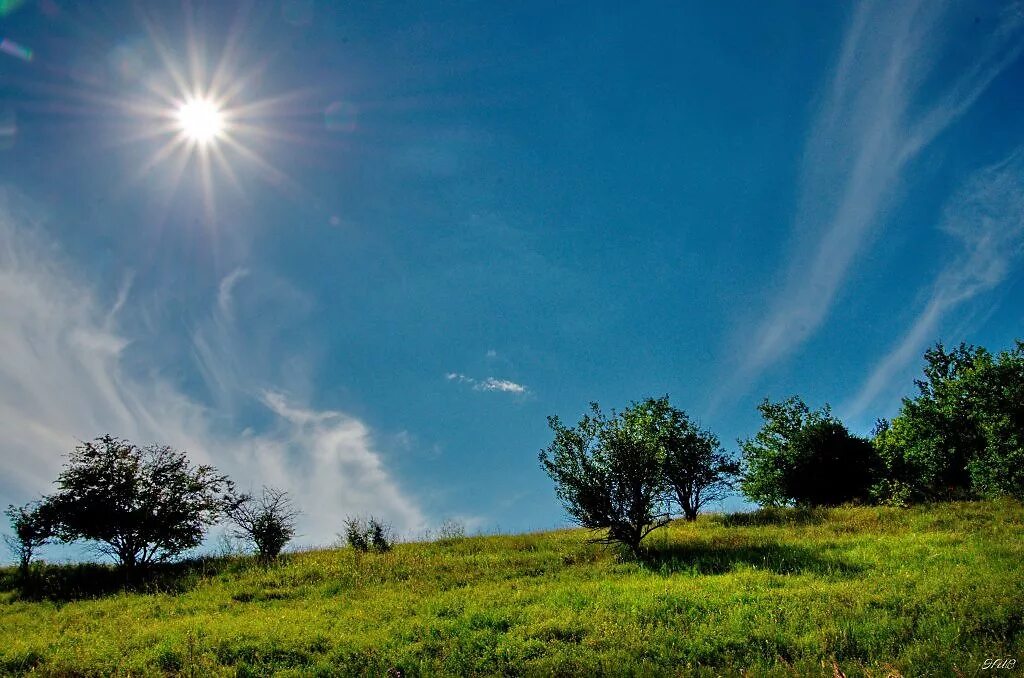 Shine weather. Солнечный день. Солнечная погода. Солнечный пейзаж. Солнце в полдень.