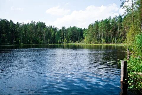 Какие озера есть в петербурге