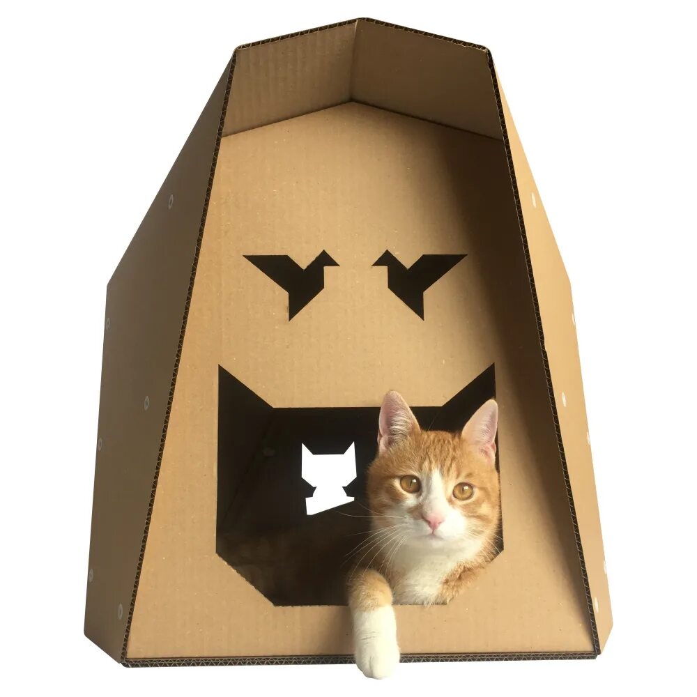 Картон кэт. Картон Cat. Картэн Кэт. Картон Кэт картон Кэт. Cathouse из картона.