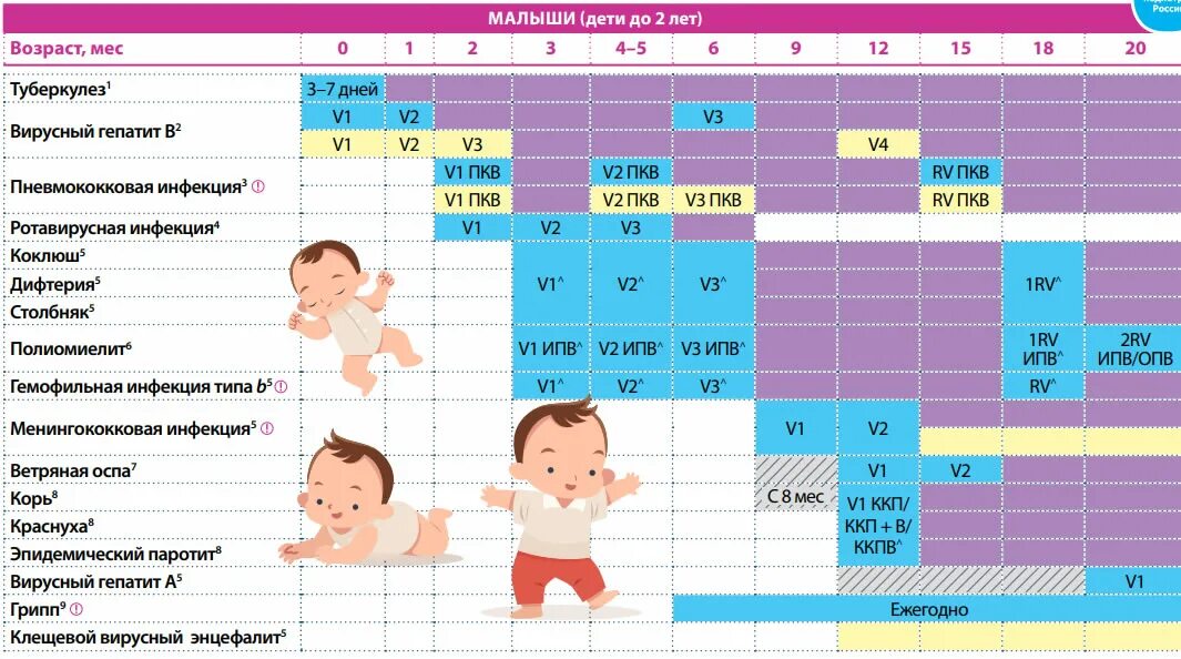 Национальный календарь профилактических прививок 2023. Прививочный календарь для детей в России 2023. Национальный календарь прививок для детей до 1 года в РФ. Национальный график прививок в России.