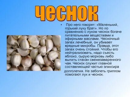 Вкус и запах чеснока