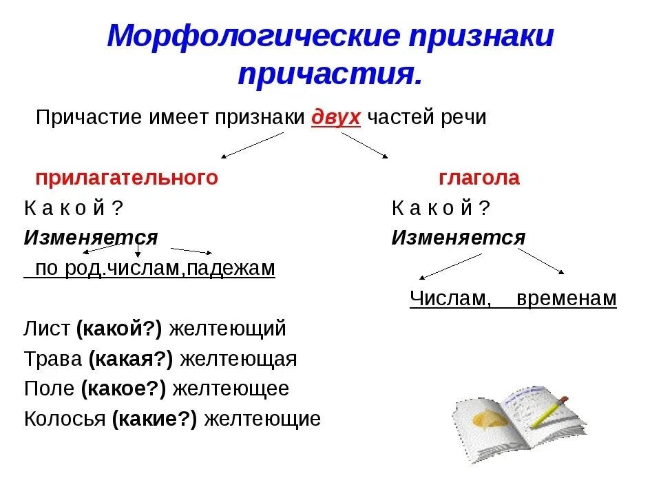 Какие постоянные признаки имеет глагол. Морфологические признаки причастия. Непостоянные морфологические признаки причастия. Морфологические признаки причастия таблица. 2. Морфологические признаки прилагательного у причастия.